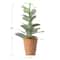 Hello Honey® 18" Faux Succulent in Terra Cotta Colored Pot
